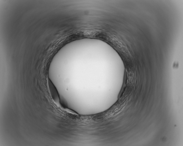 X0000098031249200804181220