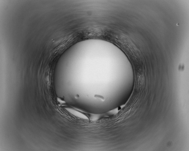 X0000098031250200804181220