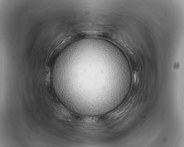 X0000098031251200804181220