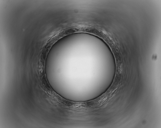 X0000098031253200804181220