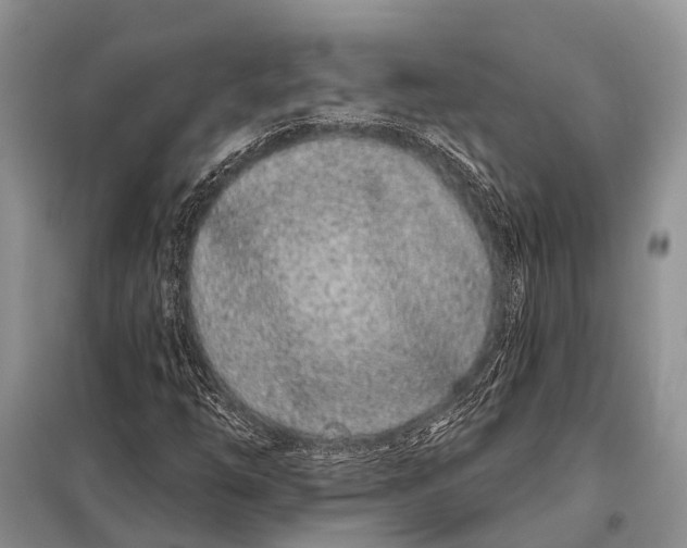 X0000098031254200804181220