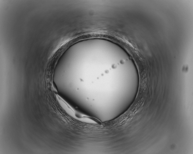 X0000098031255200804181220