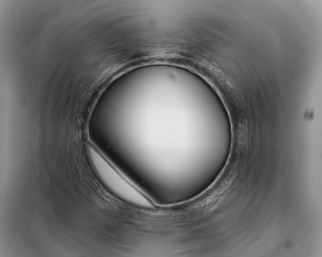 X0000098031257200804181220