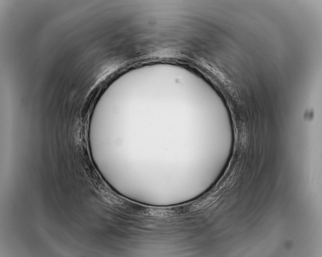 X0000098031258200804181220