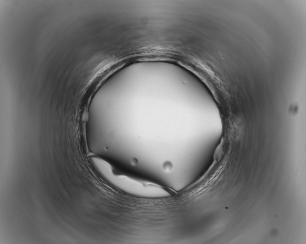 X0000098031259200804181220