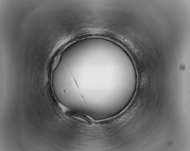 X0000098031261200804181220