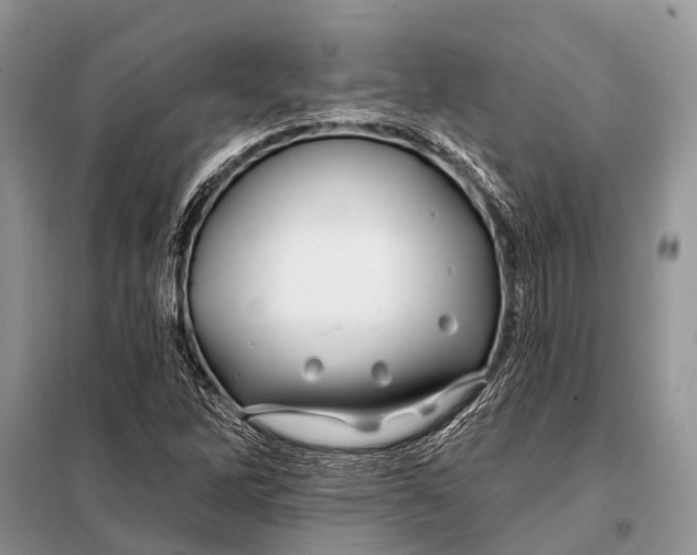 X0000098031262200804181220