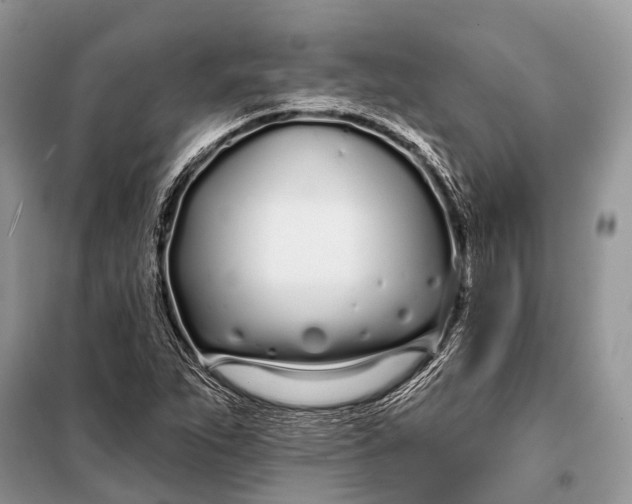 X0000098031263200804181220