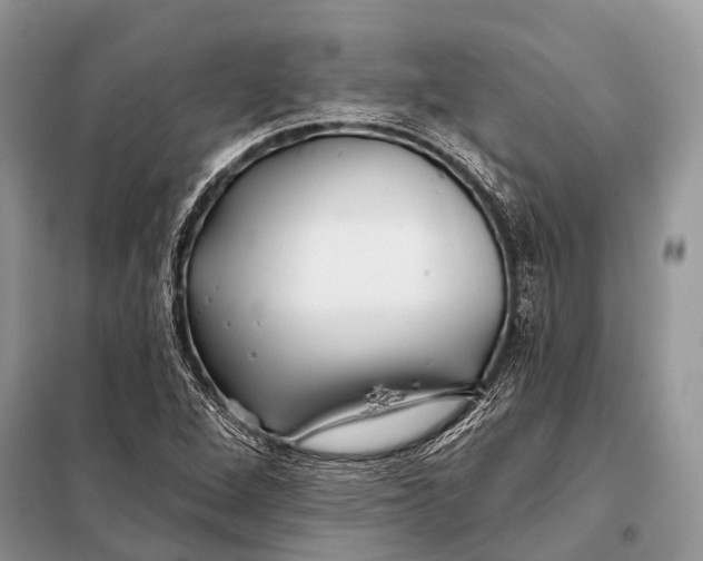 X0000098031264200804181220