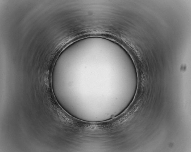 X0000098031265200804181220