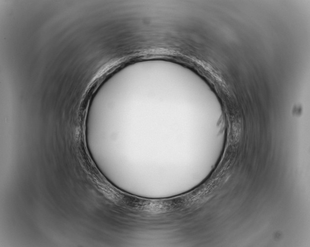 X0000098031266200804181220