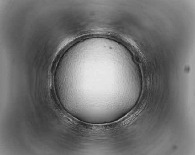 X0000098031267200804181220