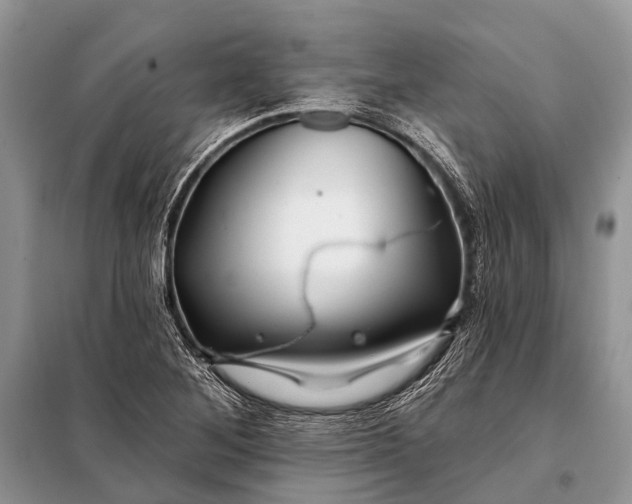 X0000098031268200804181220