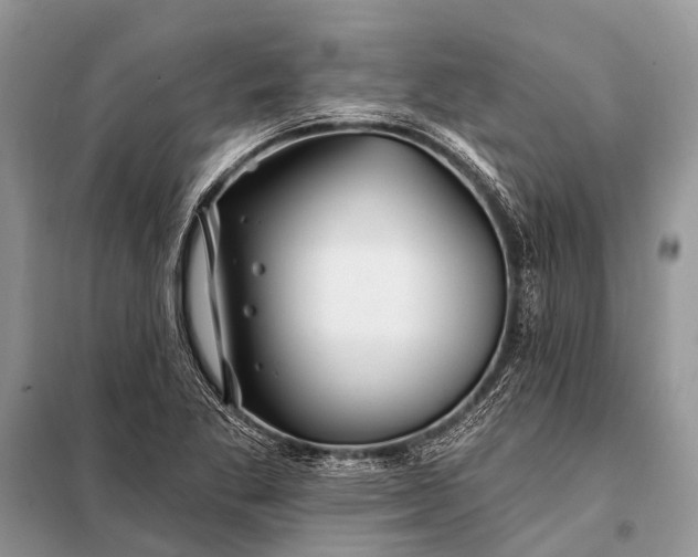 X0000098031269200804181220