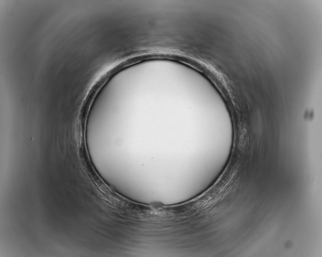 X0000098031271200804181220