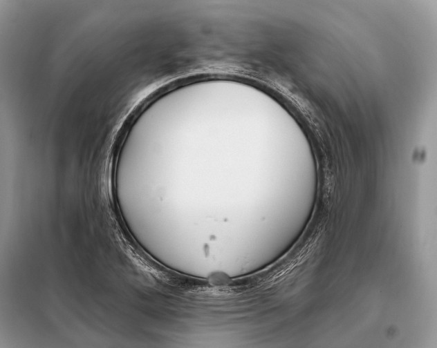 X0000098031272200804181220