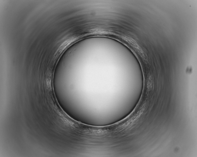 X0000098031273200804181220