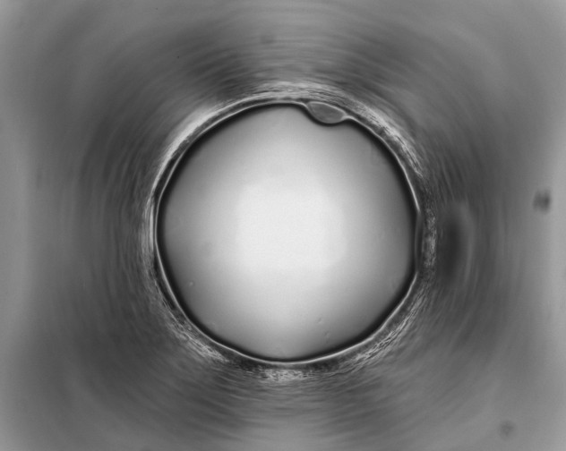 X0000098031275200804181220