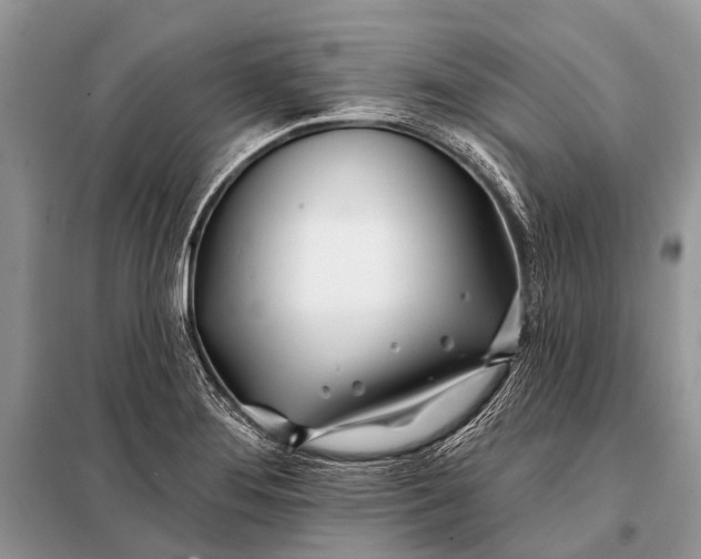 X0000098031276200804181220