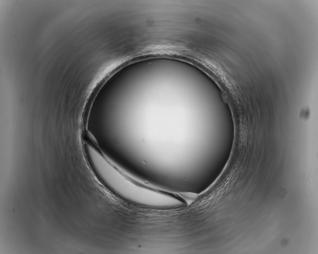 X0000098031277200804181220