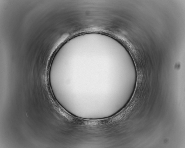 X0000098031278200804181220