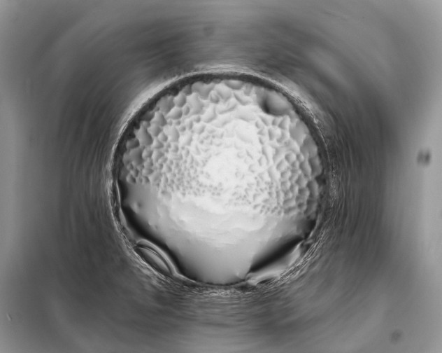 X0000098031279200804181220