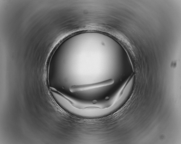 X0000098031280200804181220