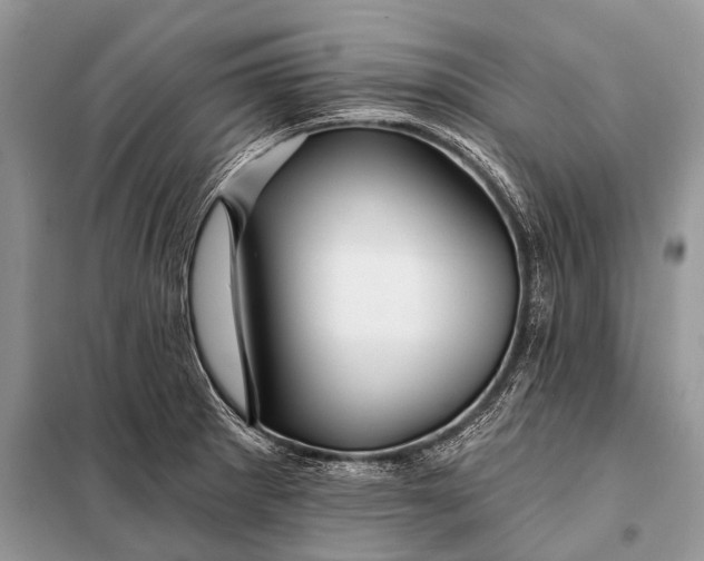 X0000098031281200804181220