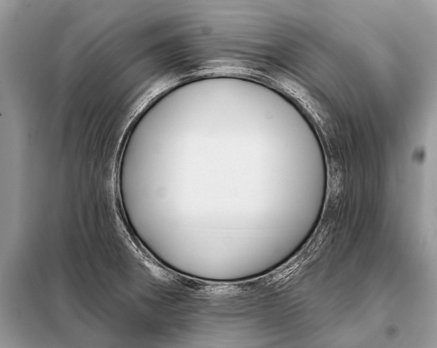 X0000098031282200804181220