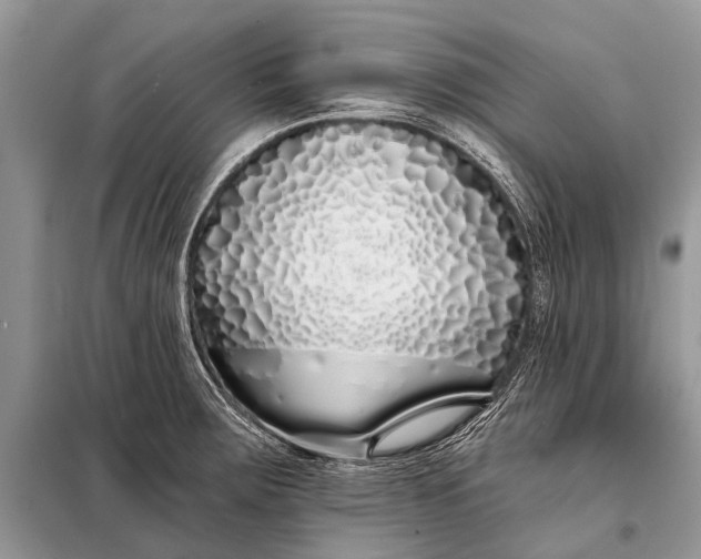 X0000098031283200804181220