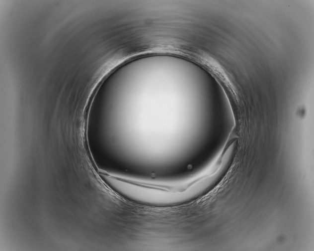 X0000098031284200804181220