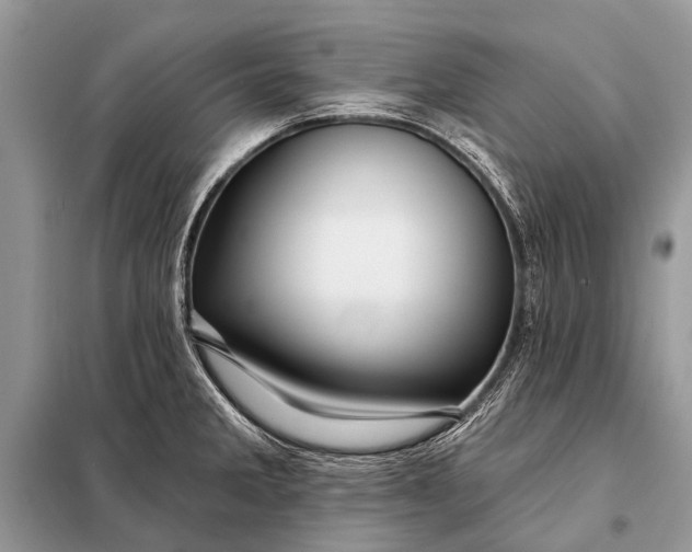 X0000098031285200804181220