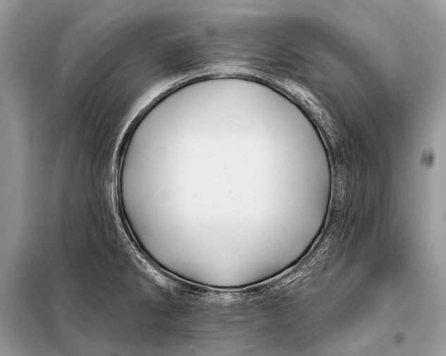 X0000098031286200804181220