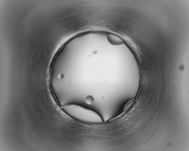 X0000098031287200804181220