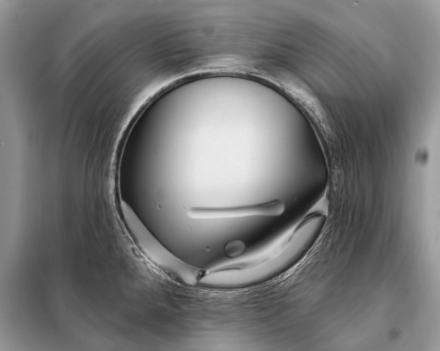 X0000098031288200804181220