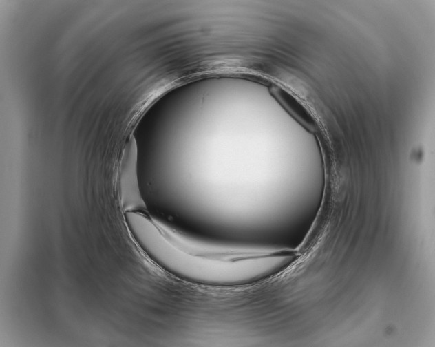 X0000098031289200804181220