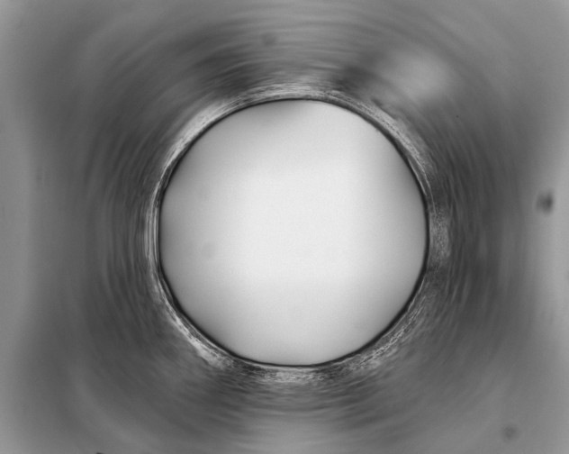 X0000098031290200804181219