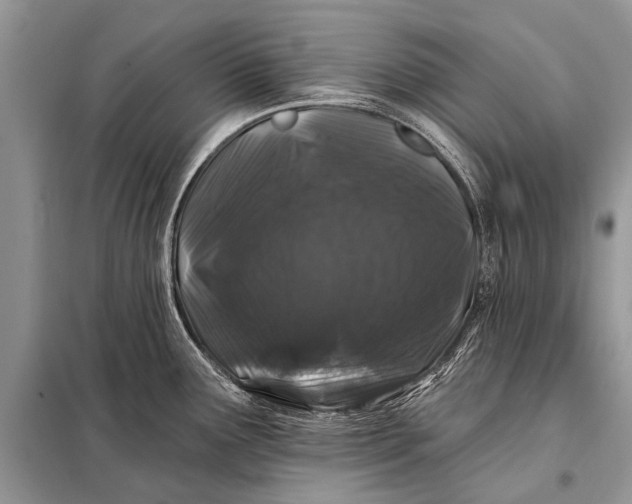 X0000098031291200804181219