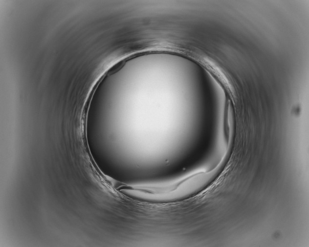 X0000098031292200804181219