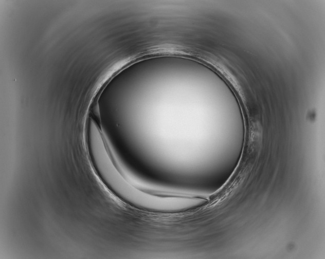 X0000098031293200804181219