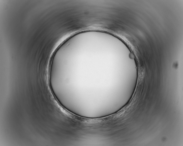 X0000098031294200804181219