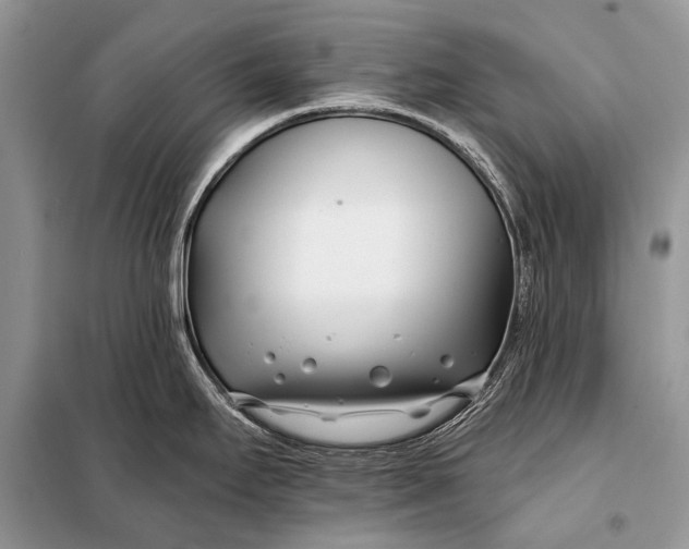 X0000098031295200804181219