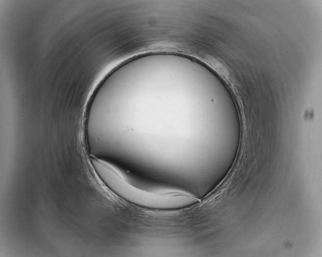 X0000098031296200804181219