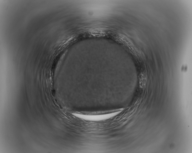 X0000098031298200804181218