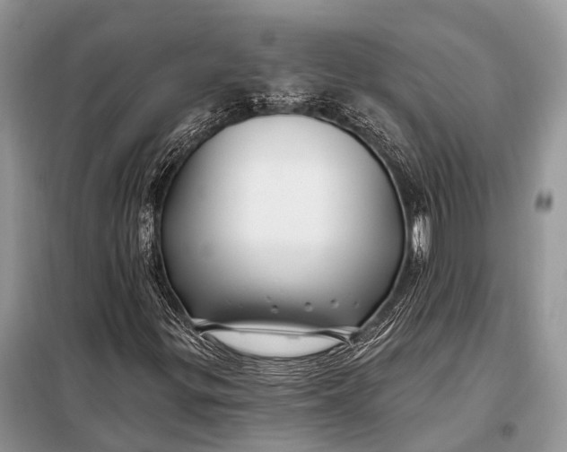 X0000098031299200804181218