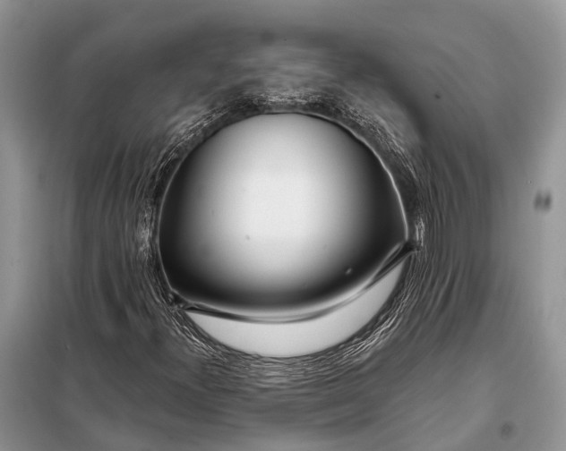 X0000098031300200804181218