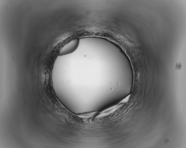 X0000098031302200804181218