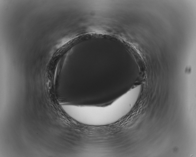 X0000098031303200804181218