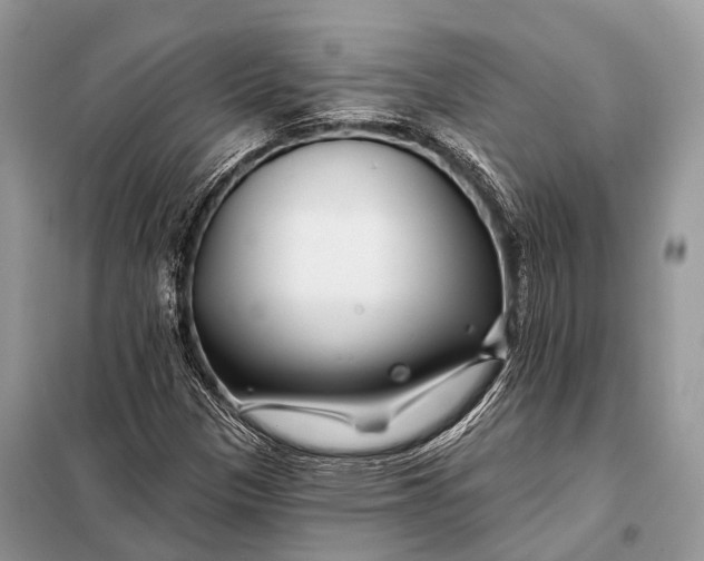 X0000098031305200804181219