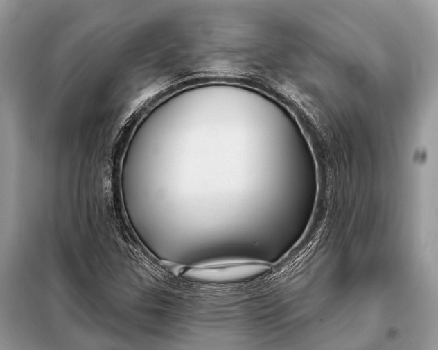 X0000098031307200804181219